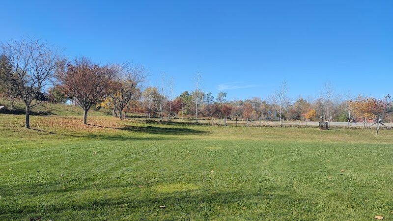 Olson Park - Ann Arbor,