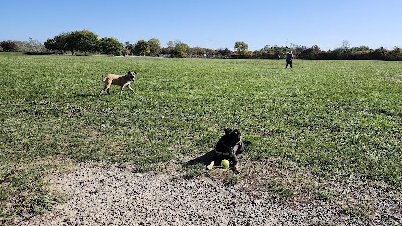 Swift Run Dog Park - Ann Arbor, MI