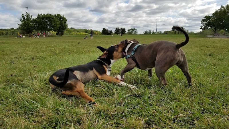Swift Run Dog Park - Ann Arbor, MI