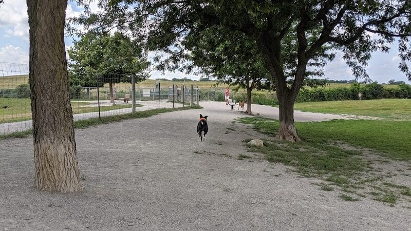 Swift Run Dog Park - Ann Arbor, MI