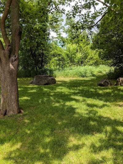 Ward Park - Ann Arbor,
