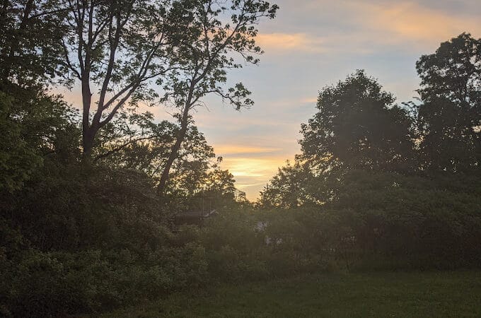 Wurster Park - Ann Arbor,