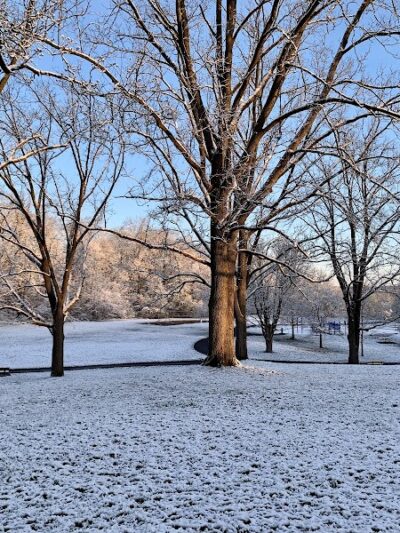 Wurster Park - Ann Arbor,
