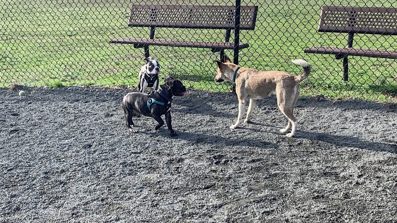 Mason District Off-Leash Dog Park - Annandale,