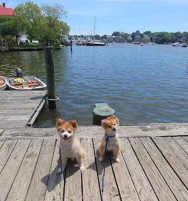 Acton's Cove Waterfront Park