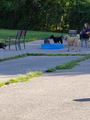 Broadneck Park