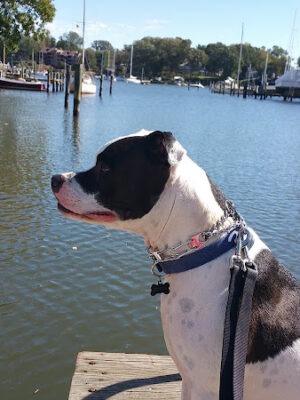 Lafayette Waterfront Park