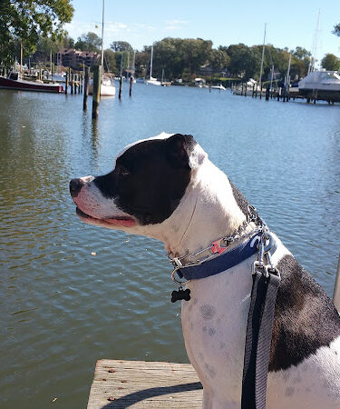 Lafayette Waterfront Park