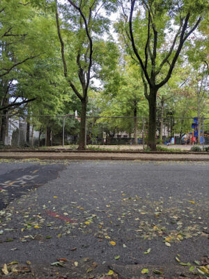 Turner Park
