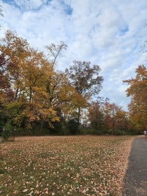 South River Overlook