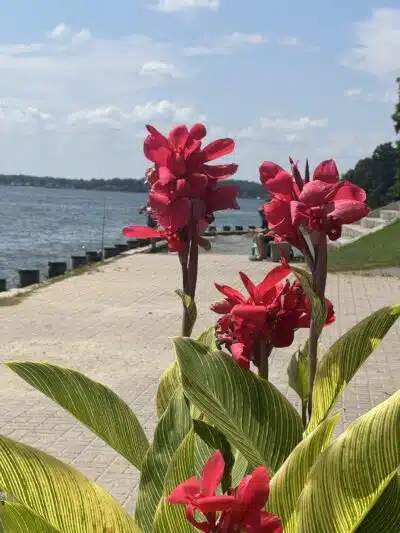 Quiet Waters Park - Annapolis, MD
