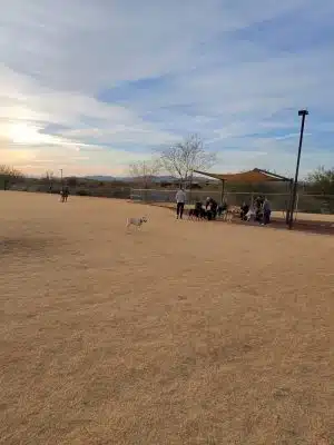 Anthem Dog Park (membership required)