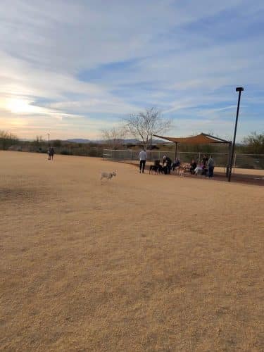Anthem Dog Park (membership required)