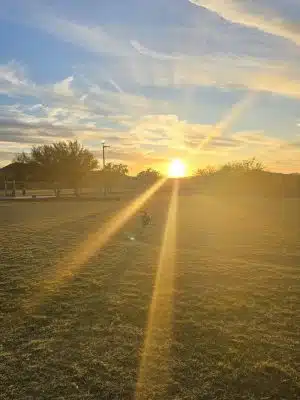 Anthem Dog Park (membership required)
