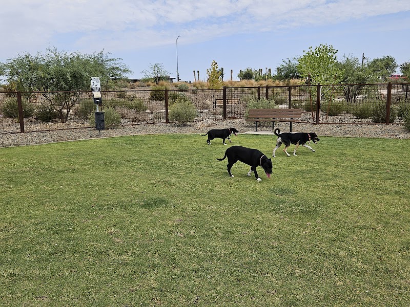 Ruff Ranch Dog Park at Painted Sky Park - Apache Junction, AZ
