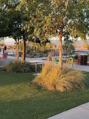 Ruff Ranch Dog Park at Painted Sky Park