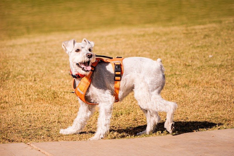 Ruff Ranch Dog Park at Painted Sky Park - Apache Junction, AZ