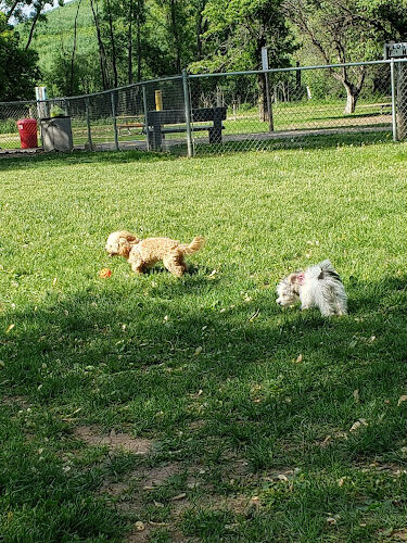 Outagamie County Dog Park