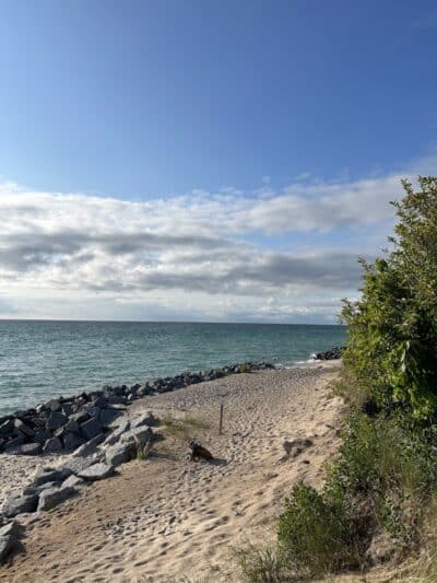 Arcadia Beach Natural Area - Arcadia,