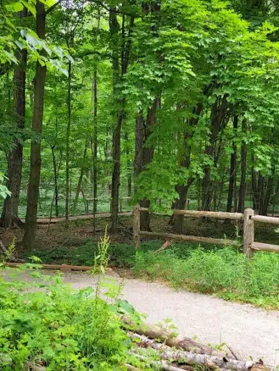 Arcadia Dunes: The C.S. Mott Nature Preserve - Arcadia,