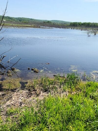 Arcadia Marsh Nature Preserve - Arcadia,