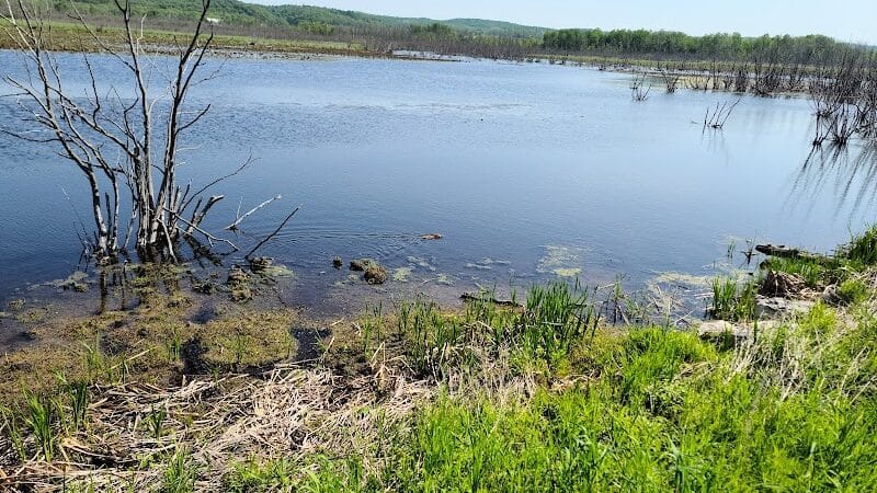 Arcadia Marsh Nature Preserve - Arcadia,