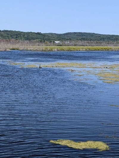 Arcadia Marsh Nature Preserve - Arcadia,