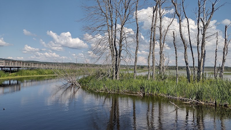 Arcadia Marsh Nature Preserve - Arcadia,