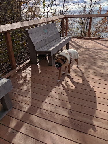 Arcadia Dunes: The C.S. Mott Nature Preserve