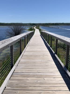 Arcadia Marsh Nature Preserve
