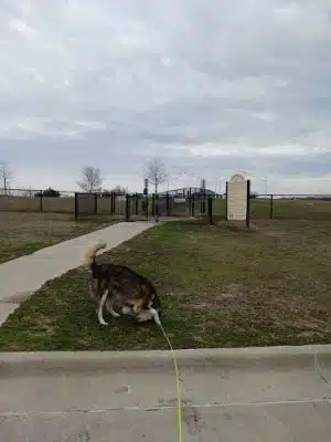 Ardmore Dog Park - Ardmore, OK