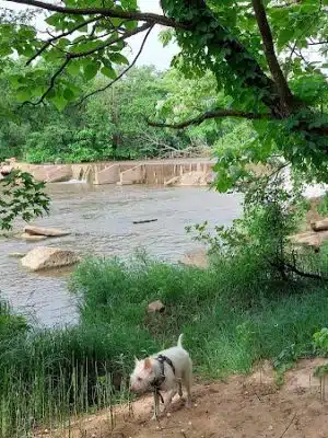 Argonia River RV Park