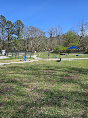 Barkadelphia dog park