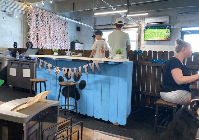 Snouts & Stouts - Indoor Dog Park & Bar - Arlington, VA