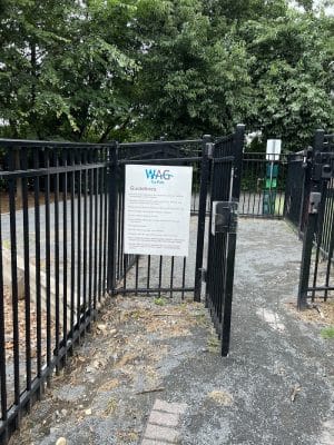 Avalon at Arlington Square Dog Park