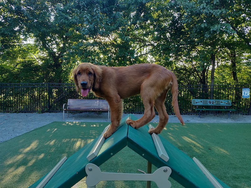 Avalon at Arlington Square Dog Park - Arlington, VA