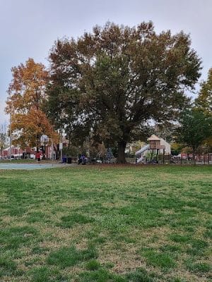 Fort Barnard Park