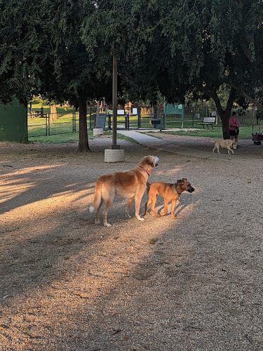 Towers Park