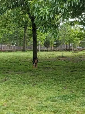 Towers Park