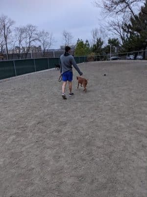 Utah Park