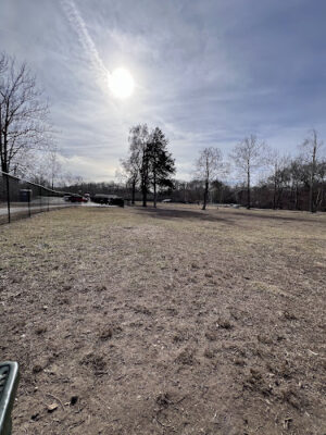 Ozark Dog Park