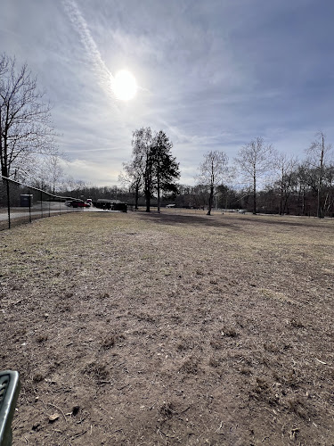 Ozark Dog Park