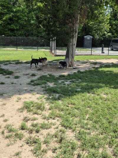 Ozark Dog Park - Arnold, MO