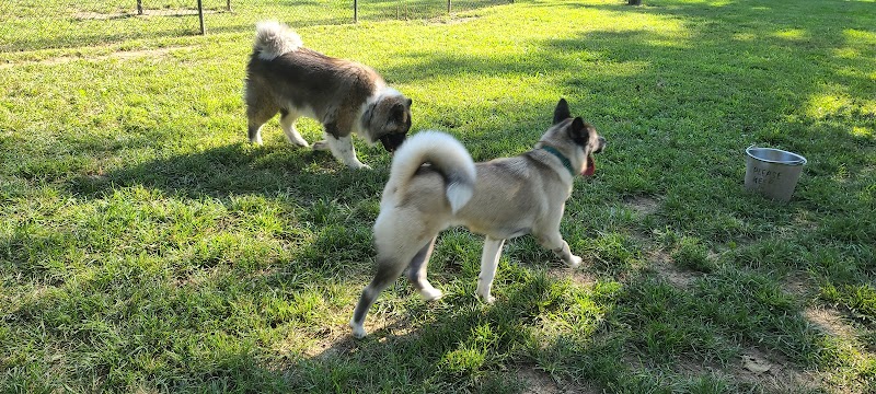 Ozark Dog Park - Arnold,