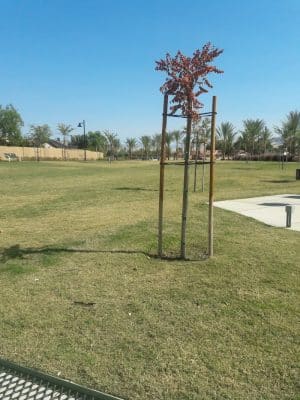 Las Palmas Park