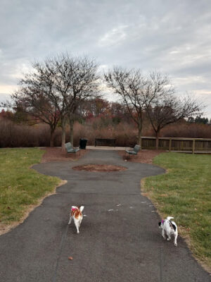 Broadlands Wetlands Preservation Area