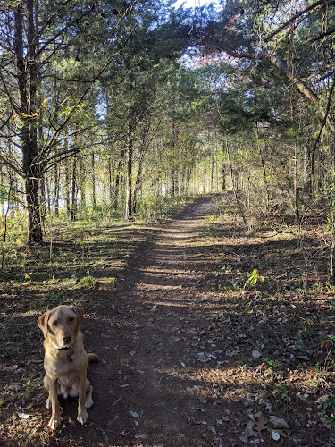 Edgar Tillett Memorial Park