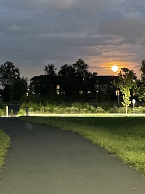 Moorefield Station Community Park