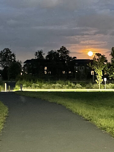 Moorefield Station Community Park