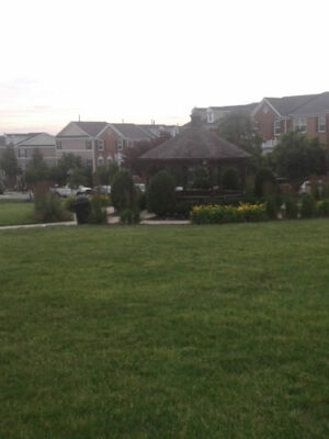 Park with Gazebo